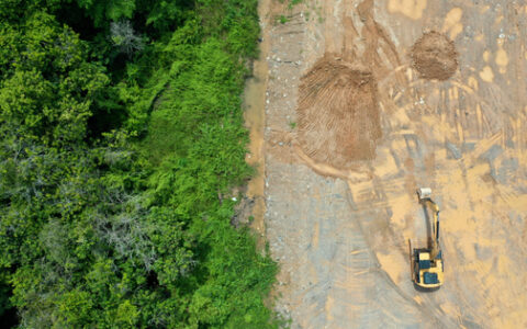 The AI tool battling illegal mining in the Amazon