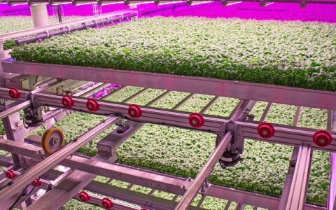 Vertical farming company 80 Acres acquires three indoor facilities from Kalera