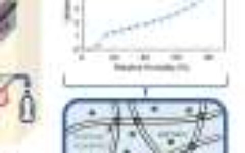 Atmospheric water harvesting: Optimization of a hygroscopic hydrogel device improves efficiency