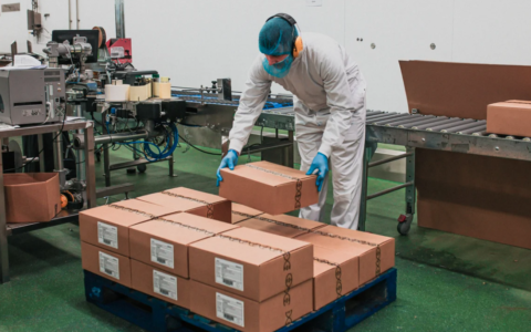 What is the NIOSH Composite Lifting Index?