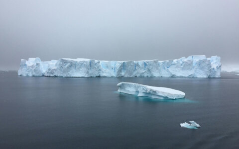 Detectan extrañas señales de radio que emanan de las profundidades del hielo antártico