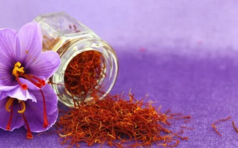 The future of saffron: From ancient fields to high-tech indoor farms