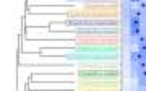 Jewelflowers seek friendly environments rather than adapt, study finds