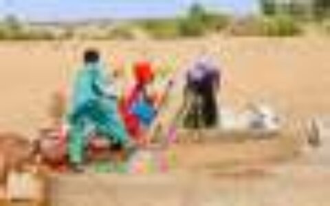 Study highlights urgent need for aflatoxin control strategies in Pakistan's feed supply chain