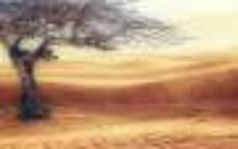 Climate inaction linked to millions of preventable deaths each year, study finds