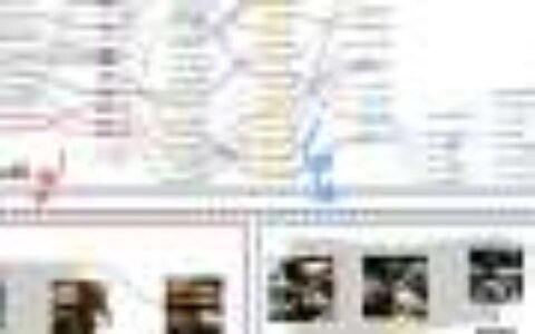 Visualizing the internal structure behind AI decision-making