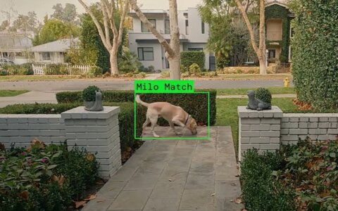 Why Ring’s Super Bowl ad hits so sinister